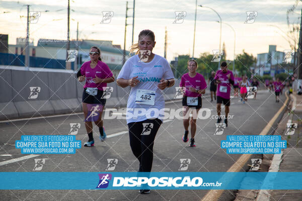 Track & Field Experience 2025 - Londrina