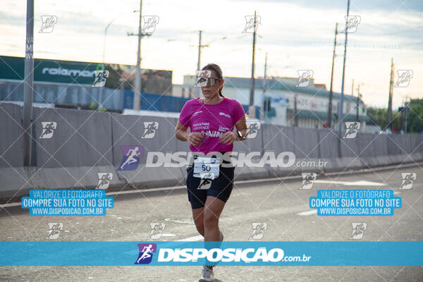 Track & Field Experience 2025 - Londrina