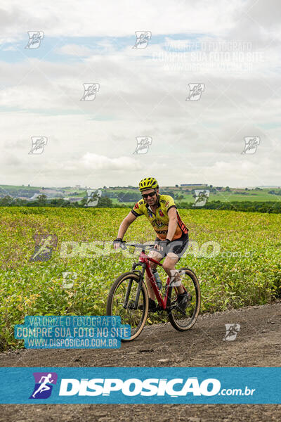 Pedal dos Brutos 200km 2025