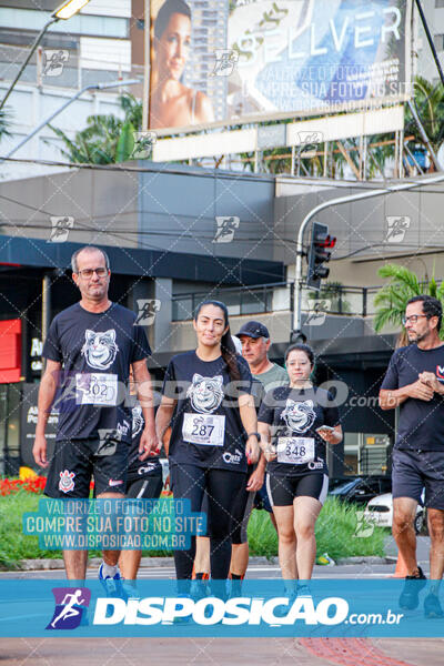 Cats Run Londrina 2025