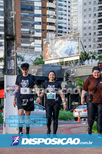 Cats Run Londrina 2025