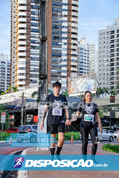 Cats Run Londrina 2025