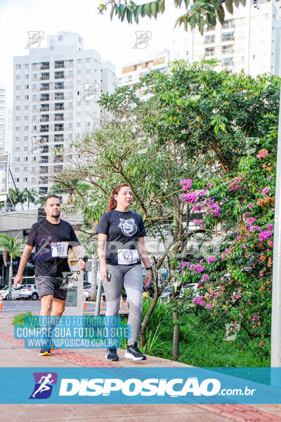 Cats Run Londrina 2025