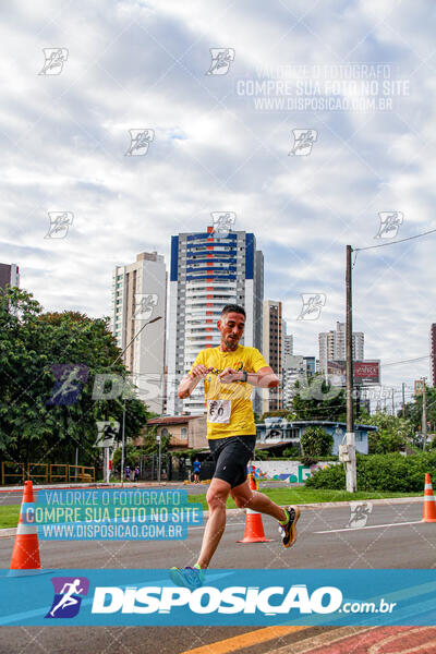 Cats Run Londrina 2025