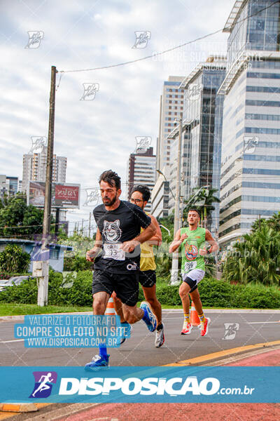 Cats Run Londrina 2025