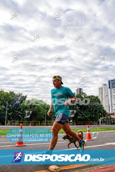 Cats Run Londrina 2025