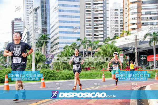 Cats Run Londrina 2025