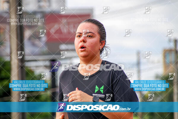 Cats Run Londrina 2025