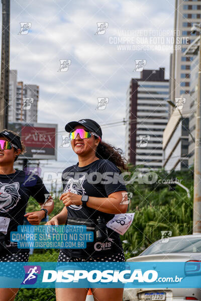 Cats Run Londrina 2025