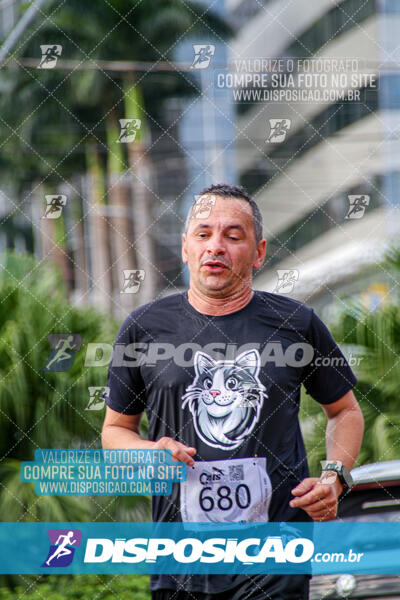 Cats Run Londrina 2025