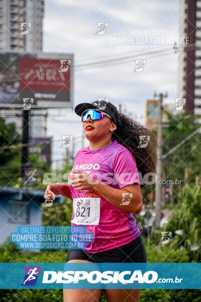 Cats Run Londrina 2025