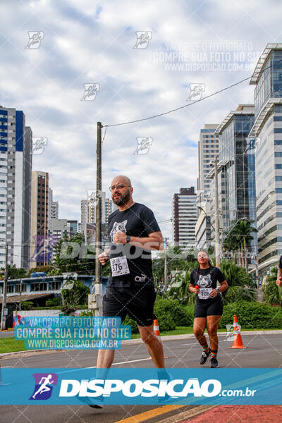 Cats Run Londrina 2025