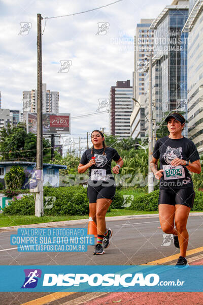 Cats Run Londrina 2025