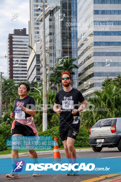 Cats Run Londrina 2025