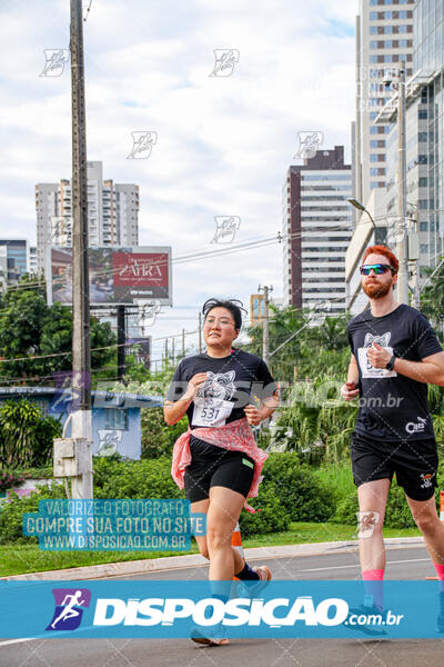 Cats Run Londrina 2025