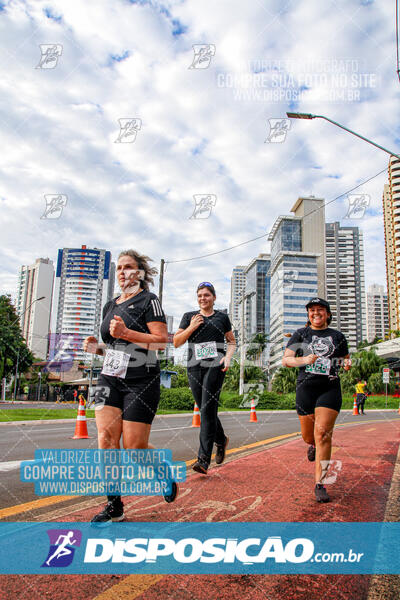 Cats Run Londrina 2025