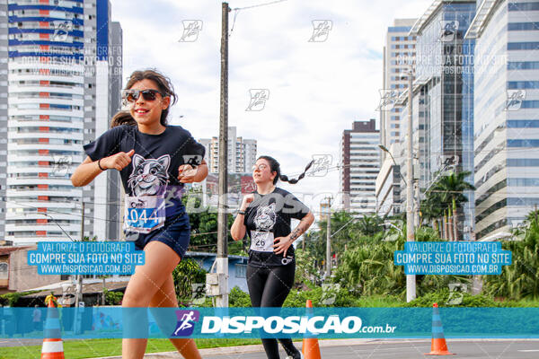 Cats Run Londrina 2025