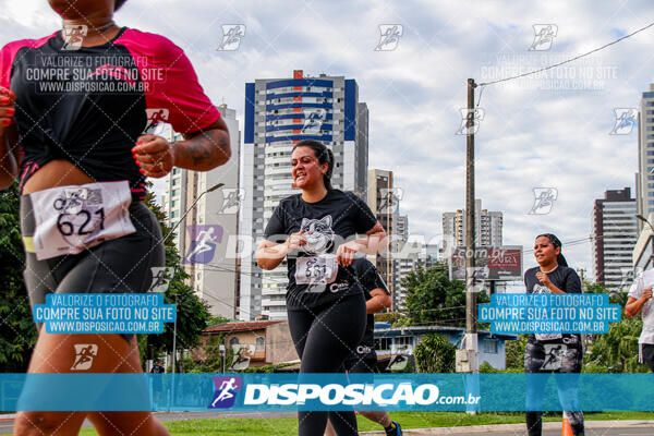 Cats Run Londrina 2025