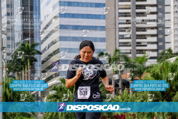 Cats Run Londrina 2025