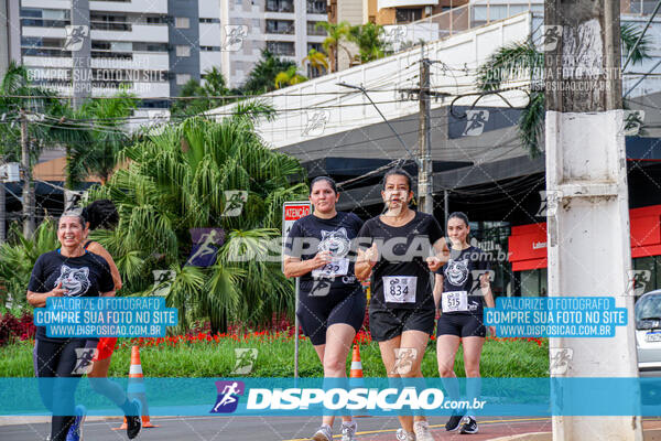 Cats Run Londrina 2025