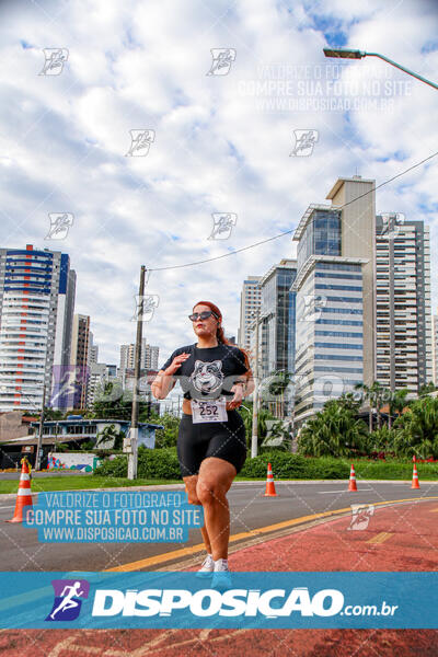 Cats Run Londrina 2025