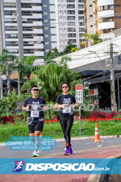 Cats Run Londrina 2025