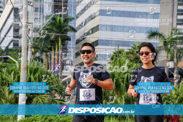 Cats Run Londrina 2025