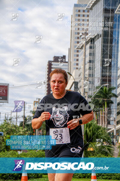 Cats Run Londrina 2025