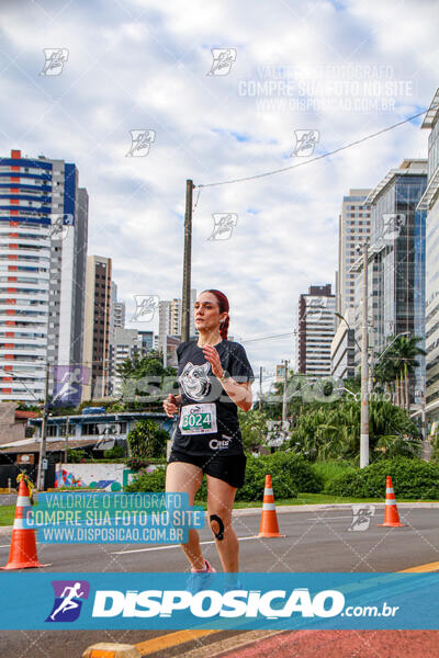 Cats Run Londrina 2025