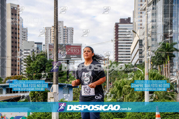 Cats Run Londrina 2025