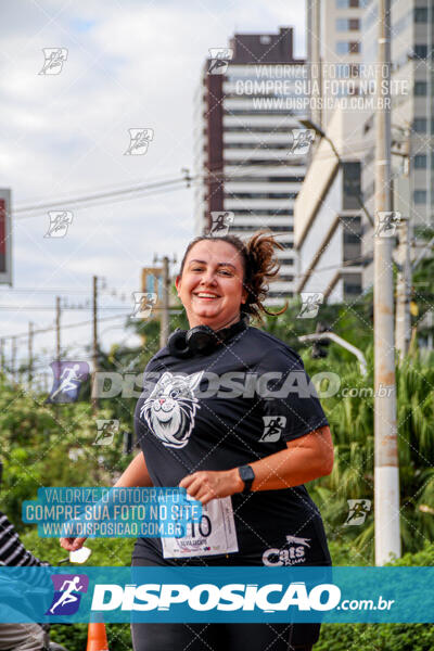 Cats Run Londrina 2025