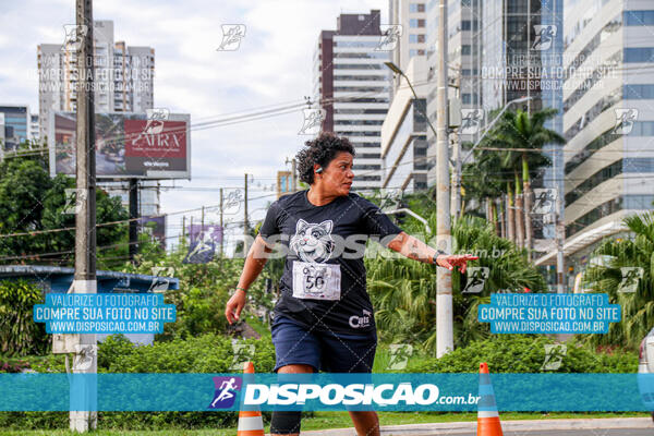 Cats Run Londrina 2025