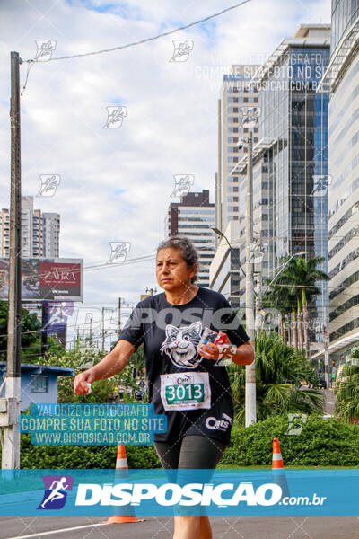 Cats Run Londrina 2025