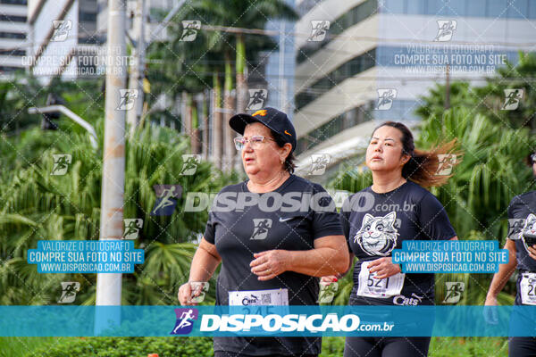 Cats Run Londrina 2025