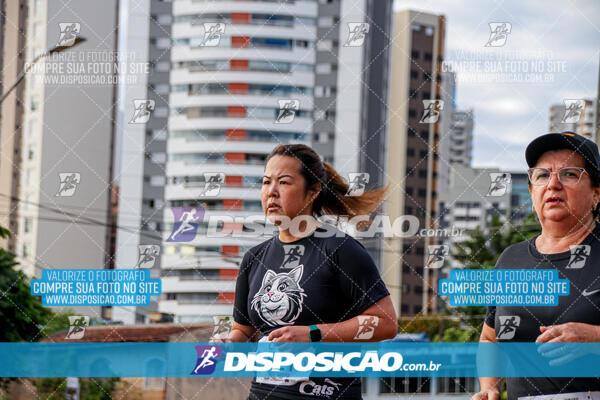 Cats Run Londrina 2025