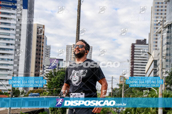 Cats Run Londrina 2025