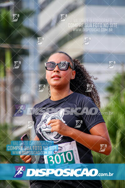 Cats Run Londrina 2025