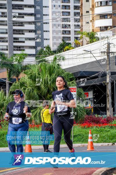 Cats Run Londrina 2025