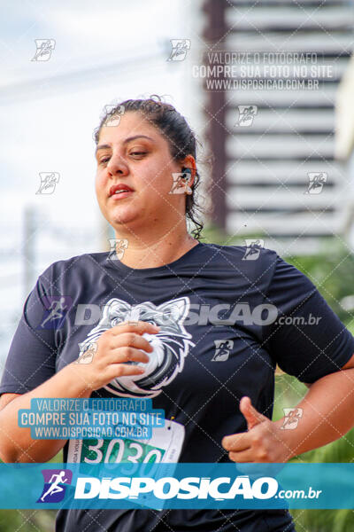 Cats Run Londrina 2025