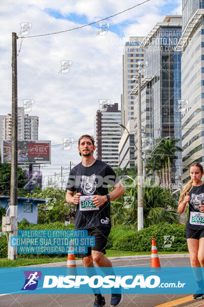 Cats Run Londrina 2025