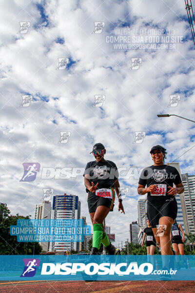 Cats Run Londrina 2025