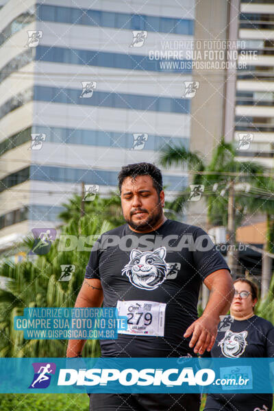 Cats Run Londrina 2025