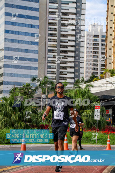 Cats Run Londrina 2025