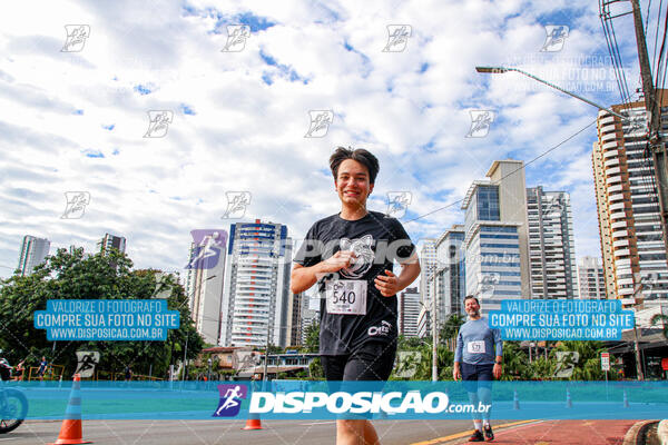 Cats Run Londrina 2025