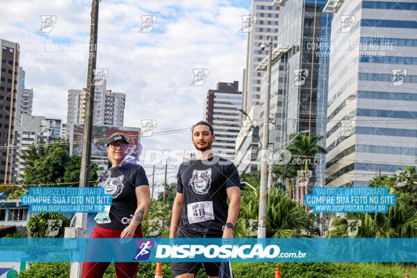 Cats Run Londrina 2025