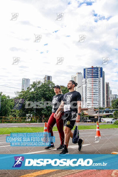 Cats Run Londrina 2025