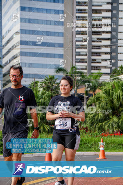 Cats Run Londrina 2025