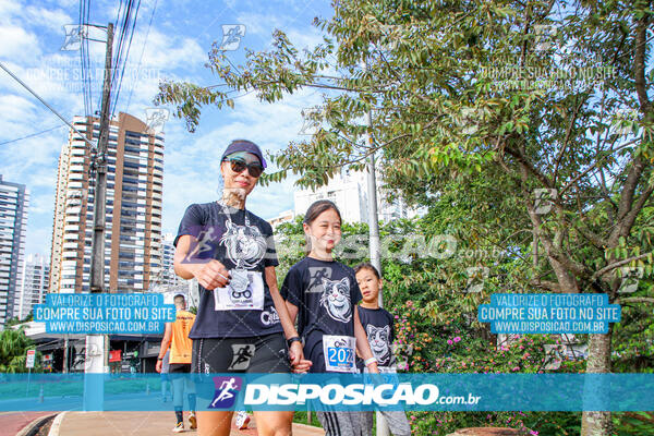 Cats Run Londrina 2025