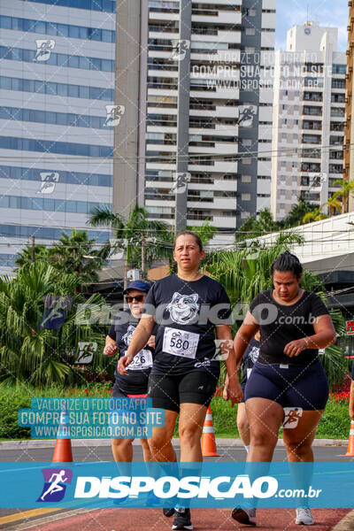 Cats Run Londrina 2025