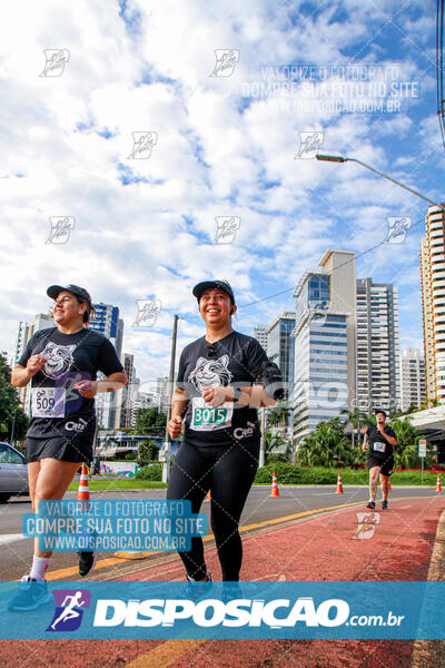 Cats Run Londrina 2025